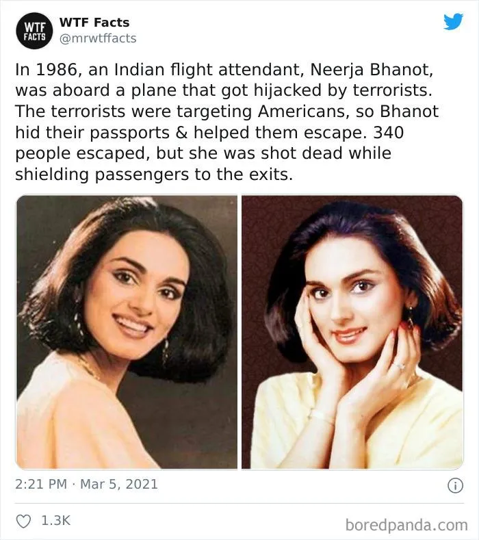50 Random Facts That Sound Fake But Aren't, Shared By This Twitter Account