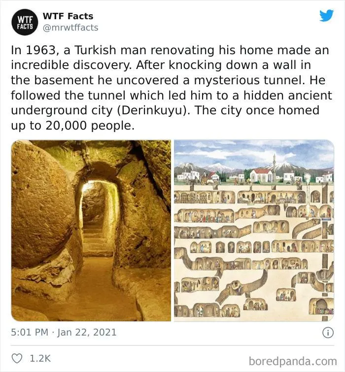 50 Random Facts That Sound Fake But Aren't, Shared By This Twitter Account