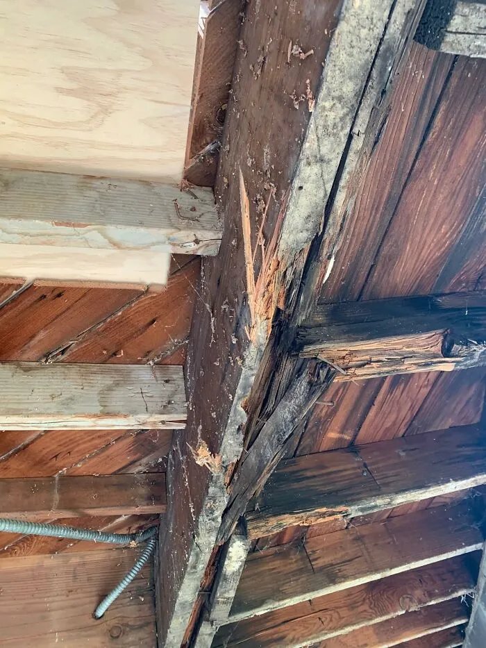 30 Engineering ‘Nightmares' And ‘Miracles' Discovered During Structural Inspections By This Company