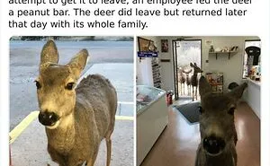 50 Random Facts That Sound Fake But Aren't, Shared By This Twitter Account
