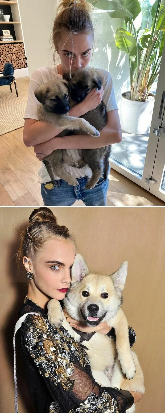 Celebrity showing immense love for dogs by holding two puppies indoors and posing with a happy dog in fashionable attire.