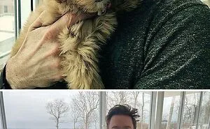 50 Celebrities Who Have Openly Displayed Their Immense Love For Dogs