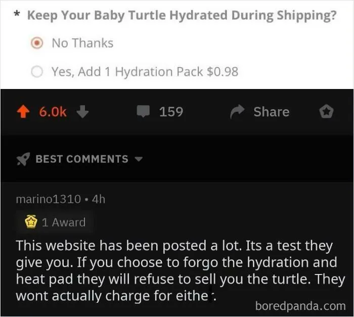 Save The Turtles