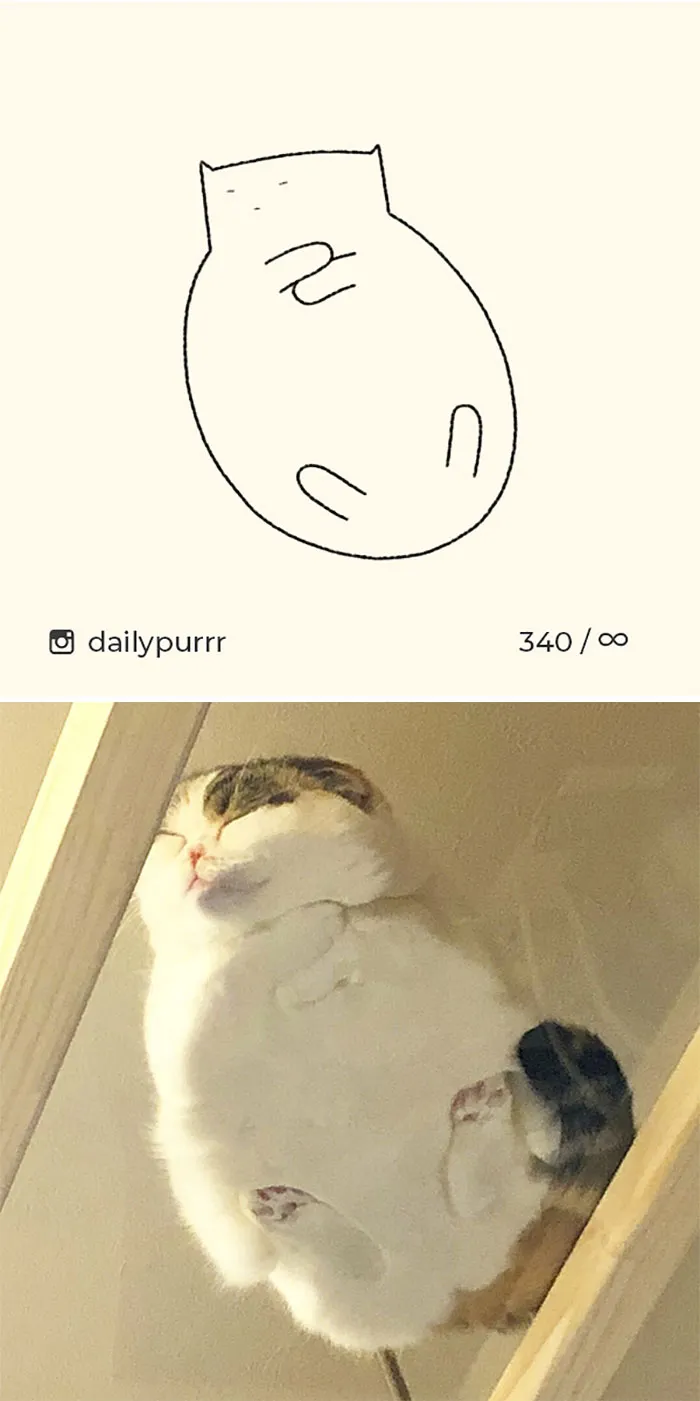 Here Are My 40 Really Bad Cat Drawings To Make You Laugh (New Pics)
