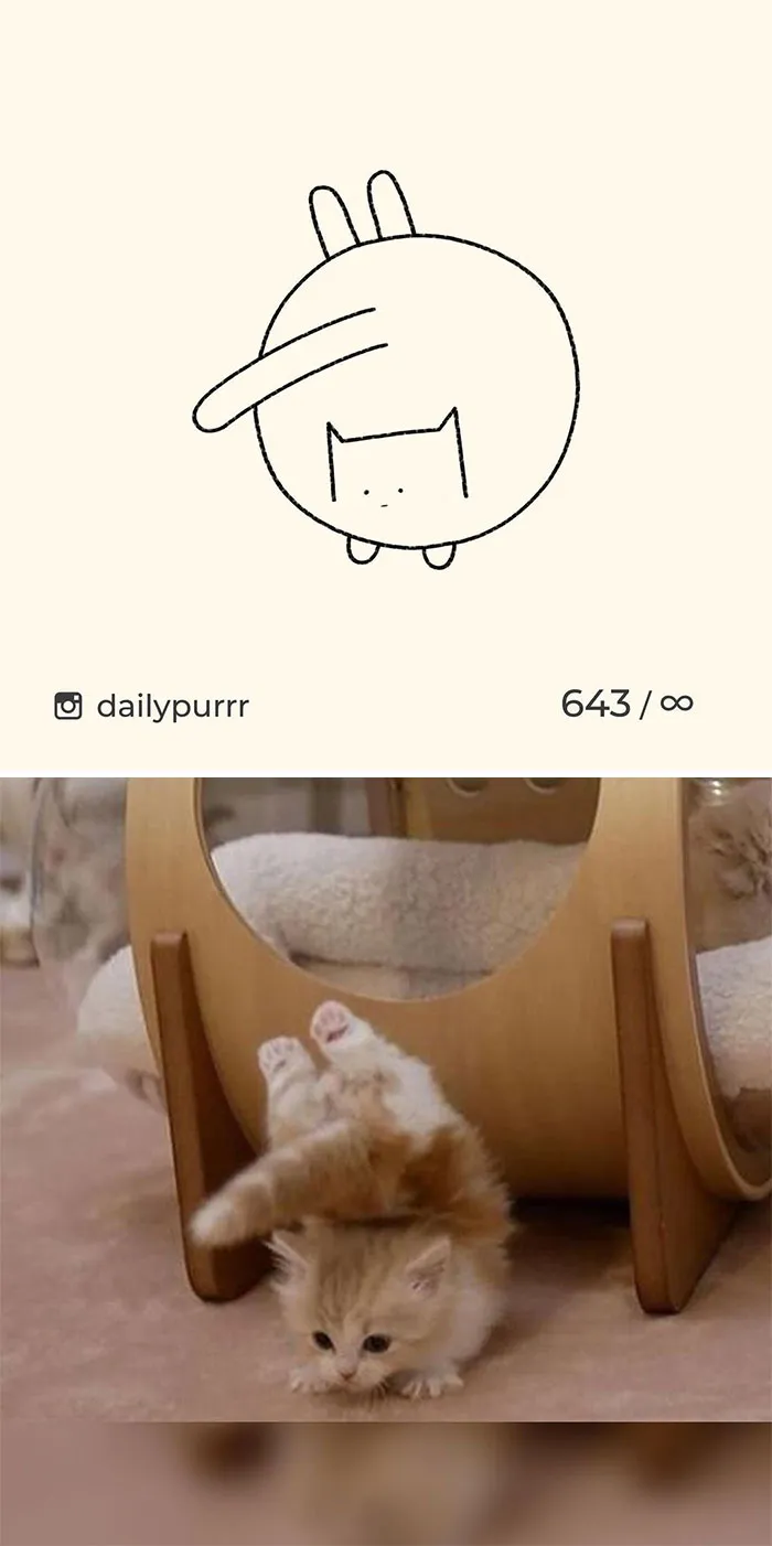Here Are My 40 Really Bad Cat Drawings To Make You Laugh (New Pics)