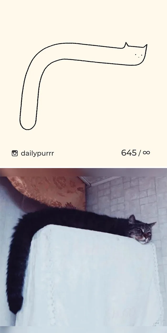 Here Are My 40 Really Bad Cat Drawings To Make You Laugh (New Pics)