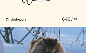 Here Are My 40 Really Bad Cat Drawings To Make You Laugh (New Pics)
