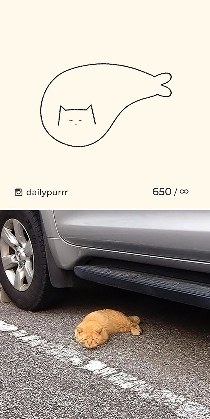 Here Are My 40 Really Bad Cat Drawings To Make You Laugh (New Pics)