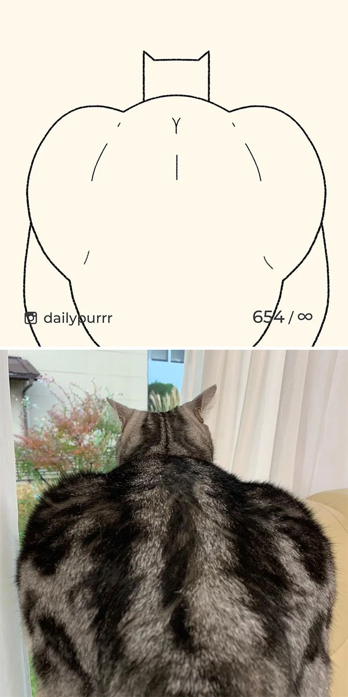 Here Are My 40 Really Bad Cat Drawings To Make You Laugh (New Pics)