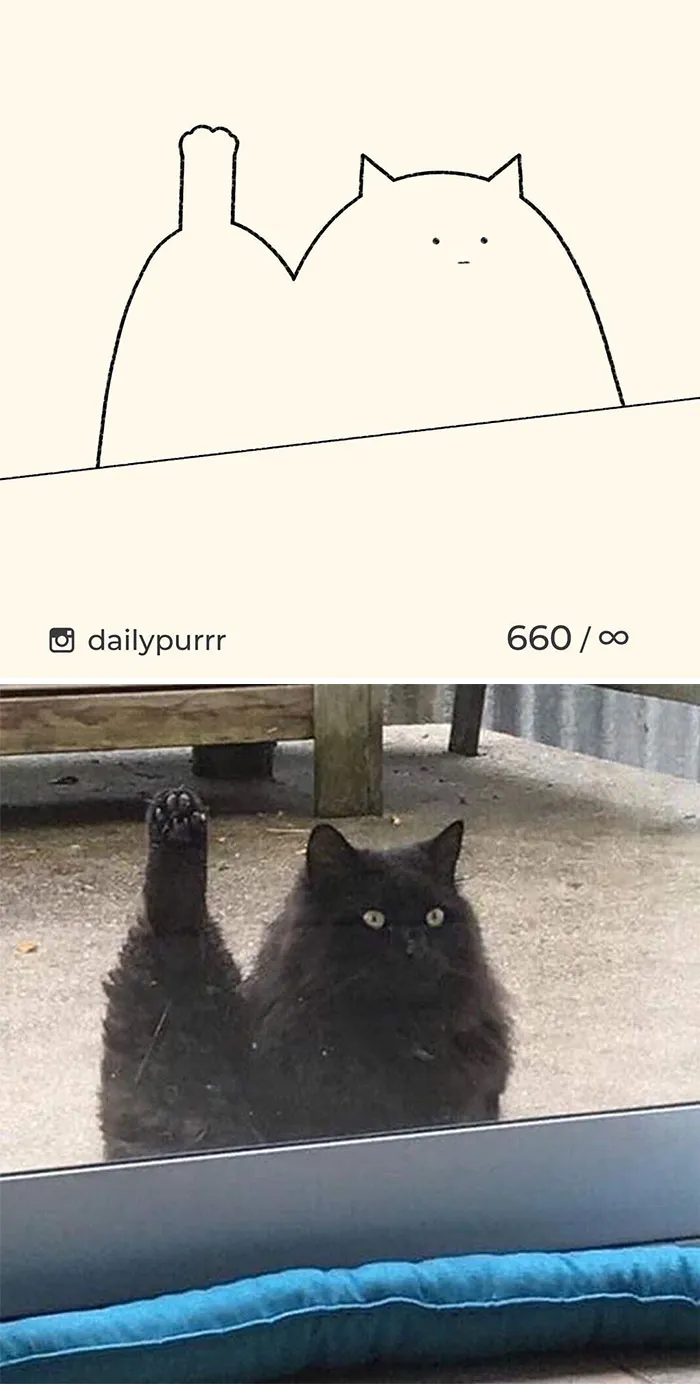 Here Are My 40 Really Bad Cat Drawings To Make You Laugh (New Pics)