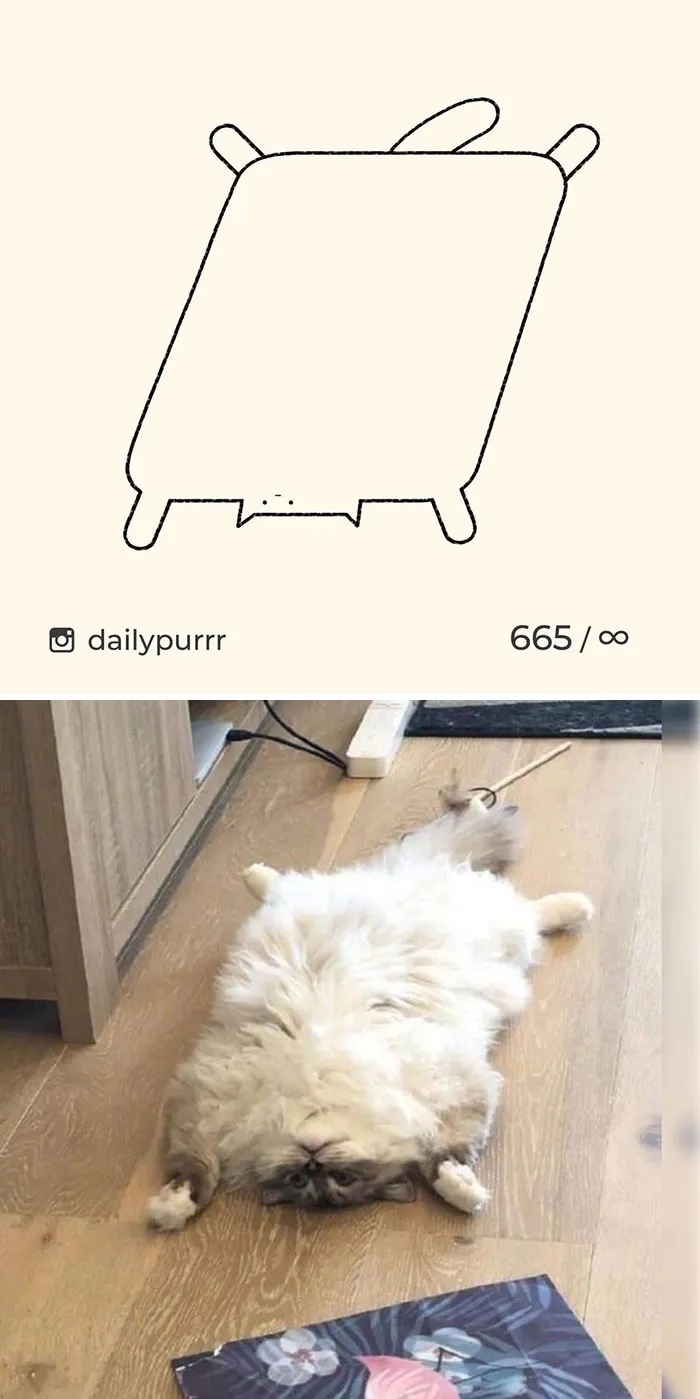 Here Are My 40 Really Bad Cat Drawings To Make You Laugh (New Pics)