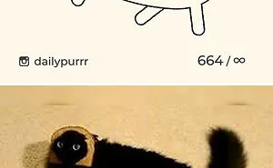 Here Are My 40 Really Bad Cat Drawings To Make You Laugh (New Pics)