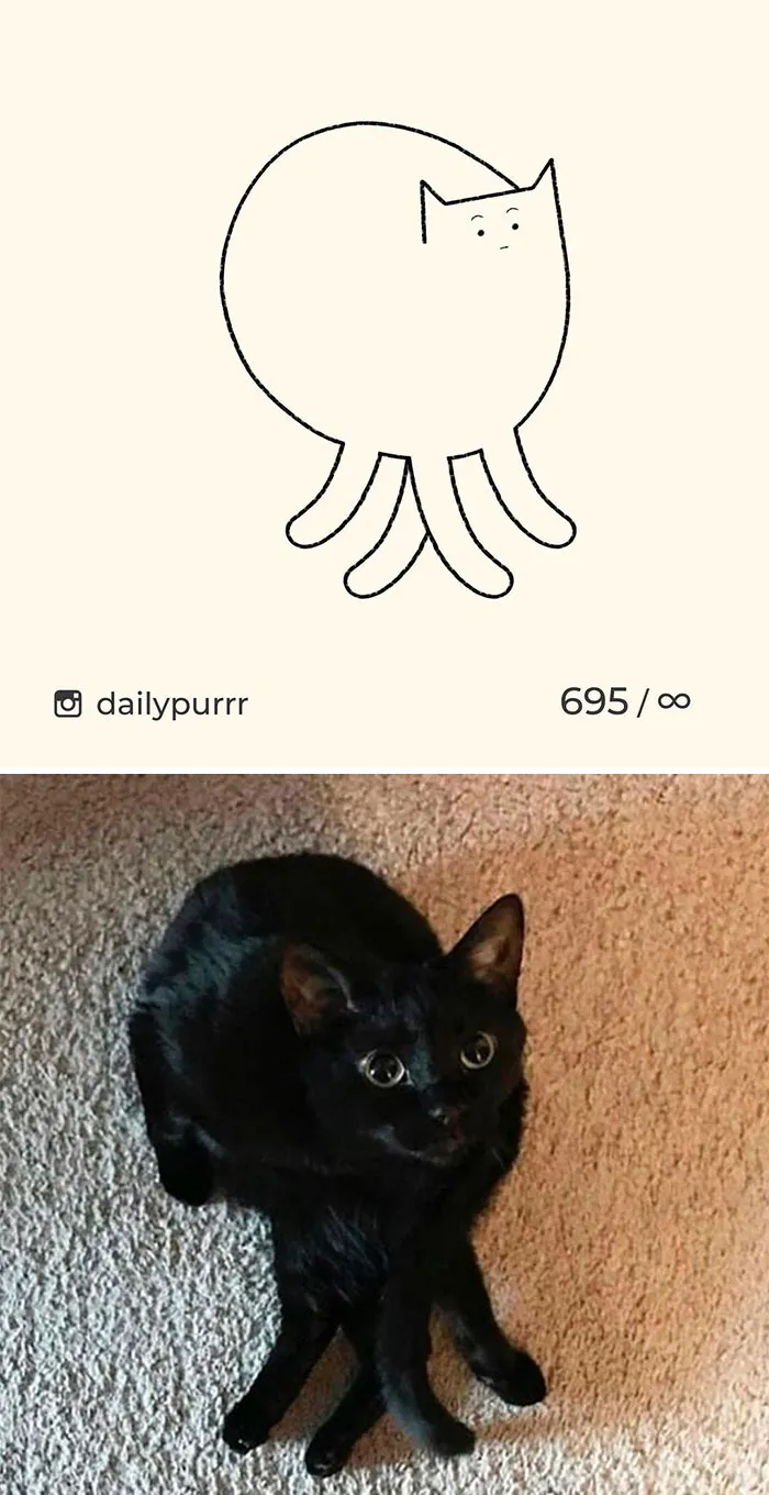 Here Are My 40 Really Bad Cat Drawings To Make You Laugh (New Pics)