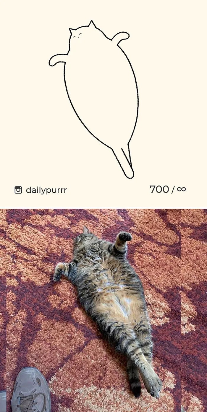 Here Are My 40 Really Bad Cat Drawings To Make You Laugh (New Pics)