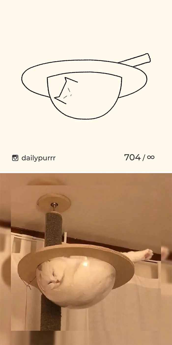 Here Are My 40 Really Bad Cat Drawings To Make You Laugh (New Pics)