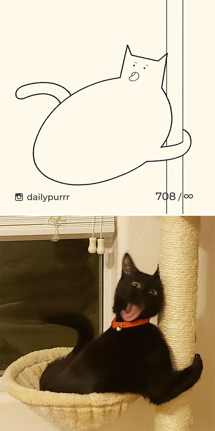 Here Are My 40 Really Bad Cat Drawings To Make You Laugh (New Pics)