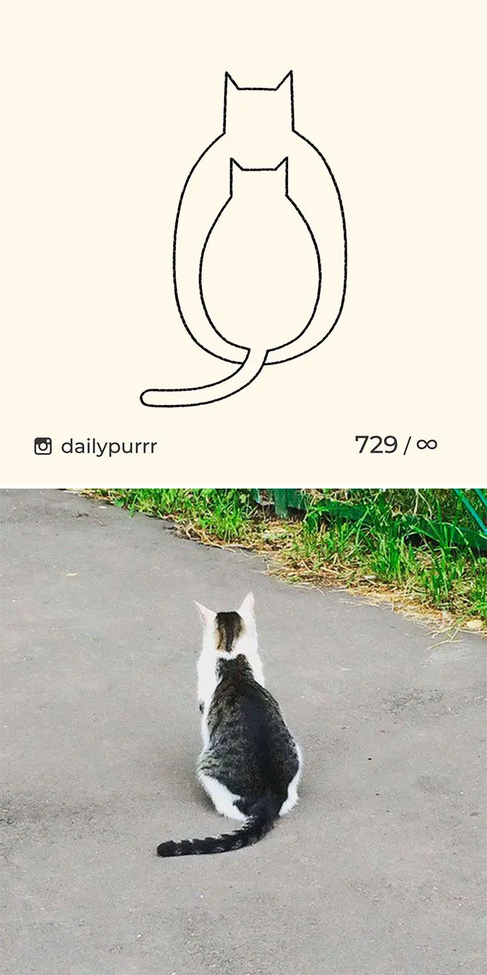Here Are My 40 Really Bad Cat Drawings To Make You Laugh (New Pics)
