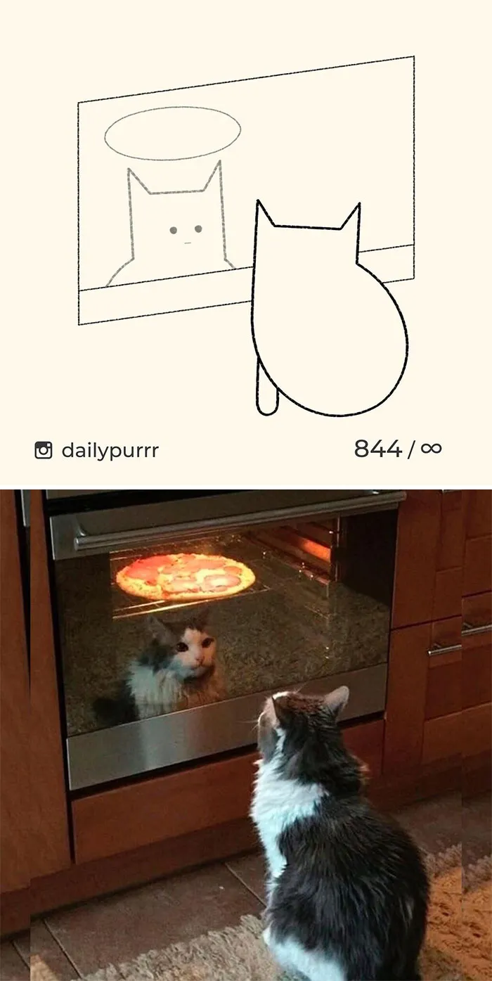 Here Are My 40 Really Bad Cat Drawings To Make You Laugh (New Pics)