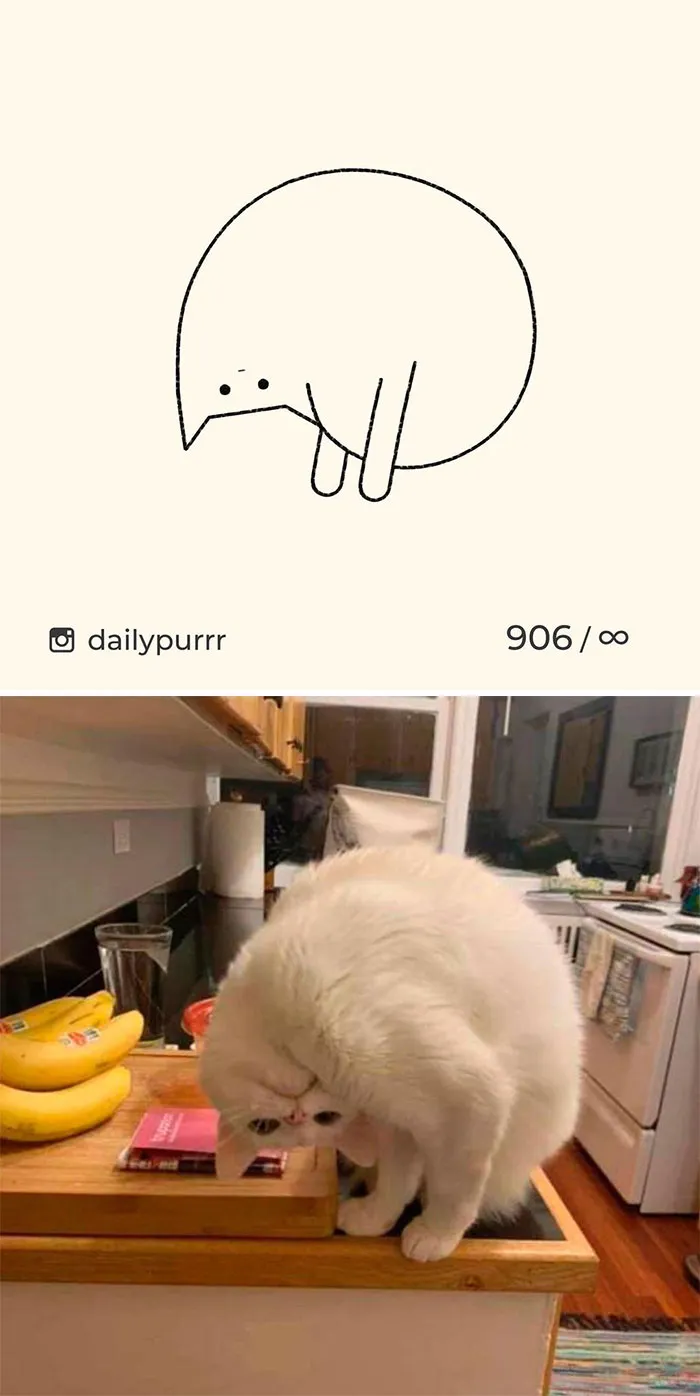 Here Are My 40 Really Bad Cat Drawings To Make You Laugh (New Pics)