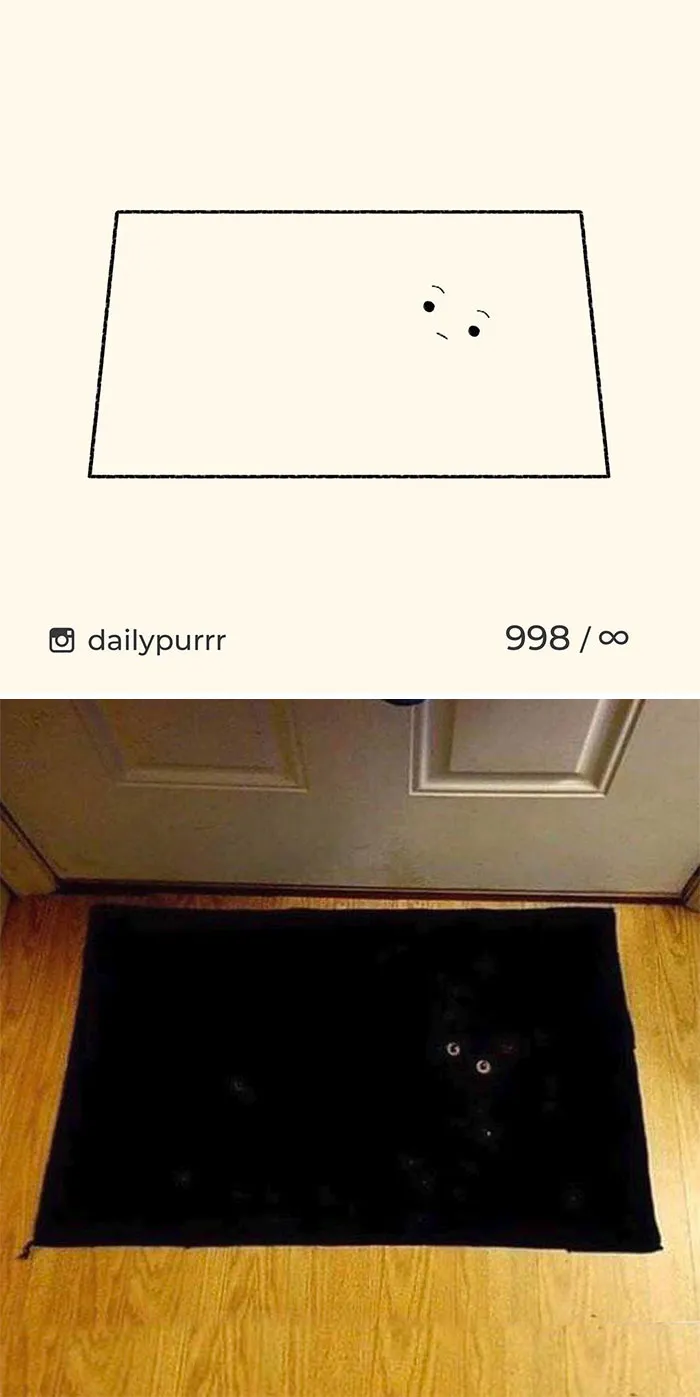 Here Are My 40 Really Bad Cat Drawings To Make You Laugh (New Pics)
