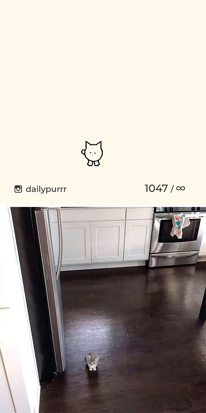 Stupid-Cat-Drawings-New-Dailypurrr