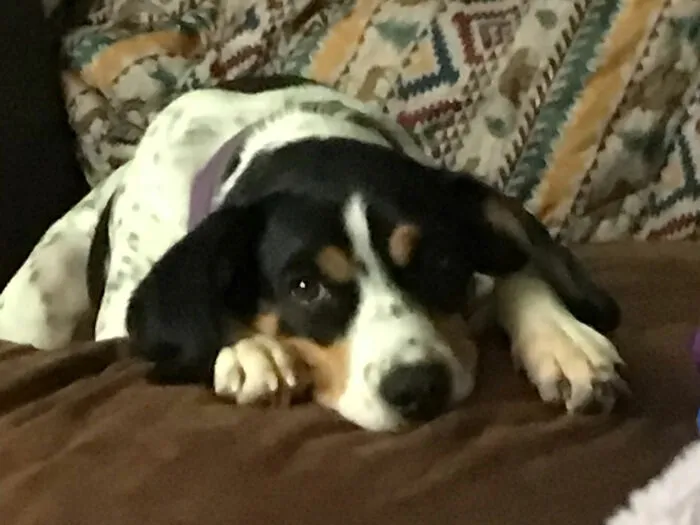 Why You Wake Me Up?