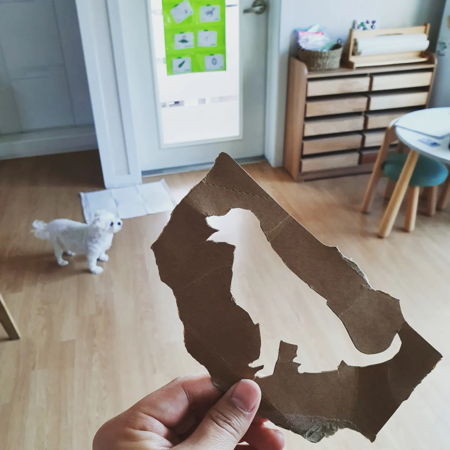 Empty Dog