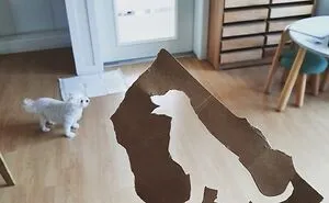 Empty Dog