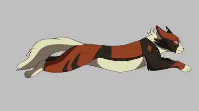 Draw A Warrior Cat