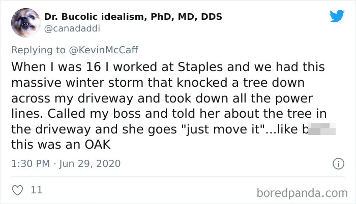 People Are Revealing The Absolute Worst Things Their Bosses Said To Them (36 Tweets)
