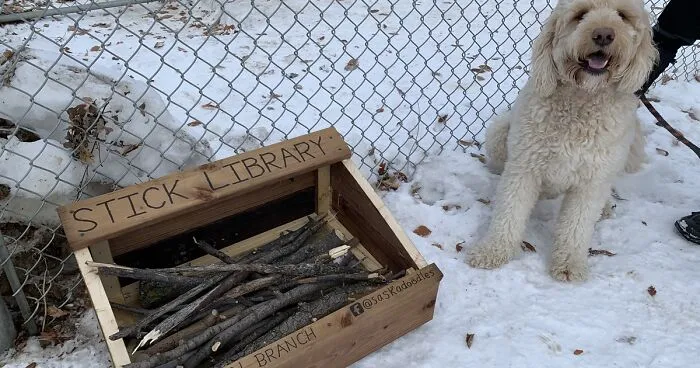 Dad And His 10-Year-Old Son Use Their Time In Quarantine To Build A 'Stick Library' For Local Dogs