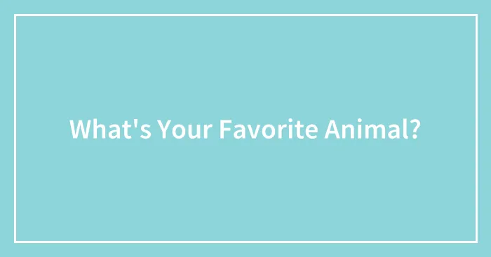What's Your Favorite Animal?