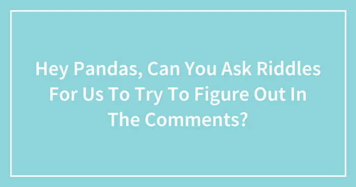 Hey Pandas, Can You Ask Riddles For Us To Try To Figure Out In The Comments? (Closed)
