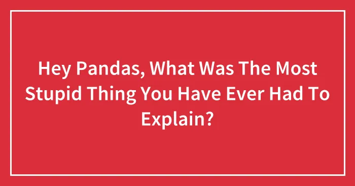 Hey Pandas, What Was The Most Stupid Thing You Have Ever Had To Explain? (Closed)