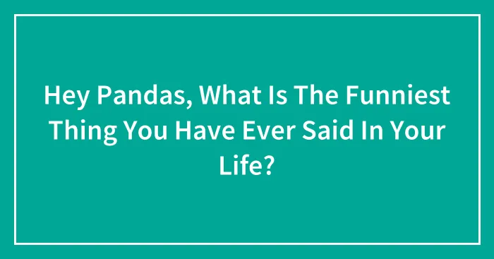 Hey Pandas, What Is The Funniest Thing You Have Ever Said In Your Life? (Closed)