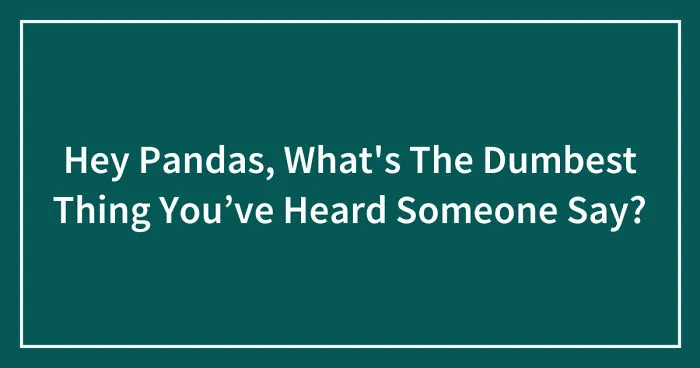 Hey Pandas, What's The Dumbest Thing You’ve Heard Someone Say? (Closed)