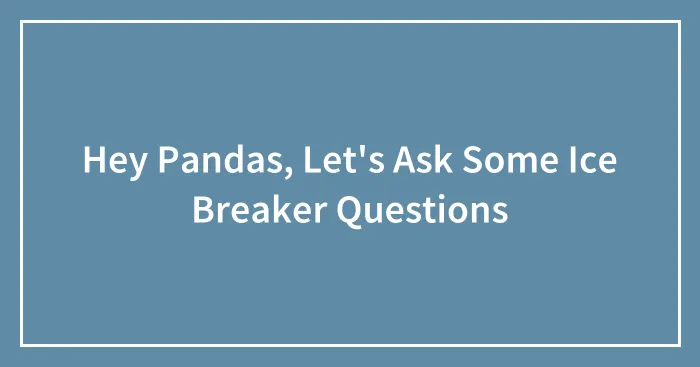 Hey Pandas, Let's Ask Some Ice Breaker Questions (Closed)