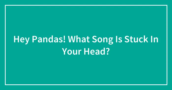 Hey Pandas! What Song Is Stuck In Your Head?