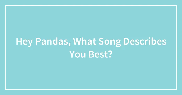 Hey Pandas, What Song Describes You Best?