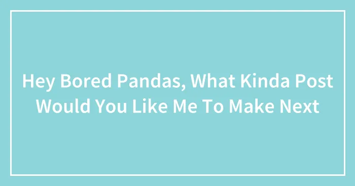 Hey Bored Pandas, What Kinda Post Would You Like Me To Make Next