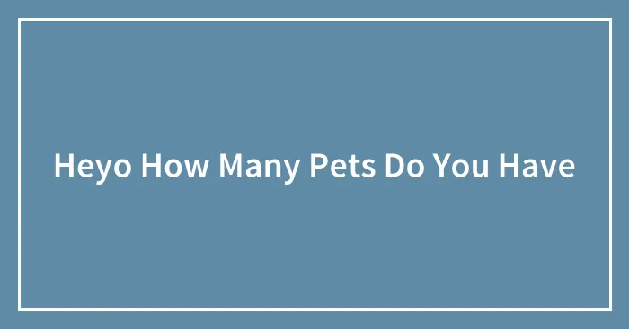 Heyo How Many Pets Do You Have