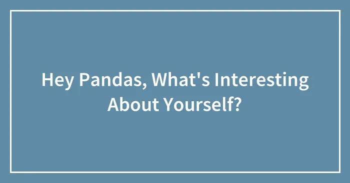 Hey Pandas, What's Interesting About Yourself? (Closed)