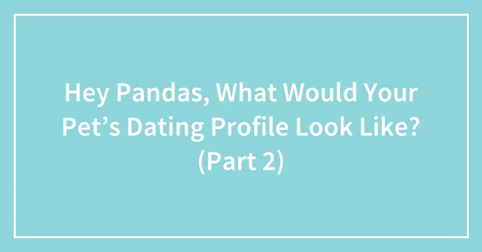 Hey Pandas, What Would Your Pet’s Dating Profile Look Like? (Part 2) (Closed)