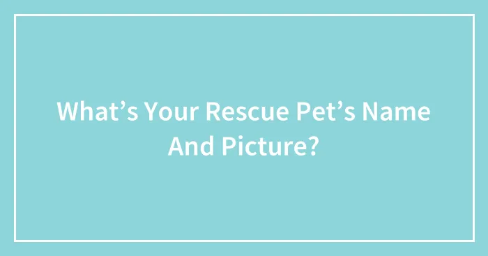 What’s Your Rescue Pet’s Name And Picture?