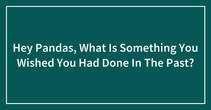 Hey Pandas, What Is Something You Wished You Had Done In The Past? (Closed)