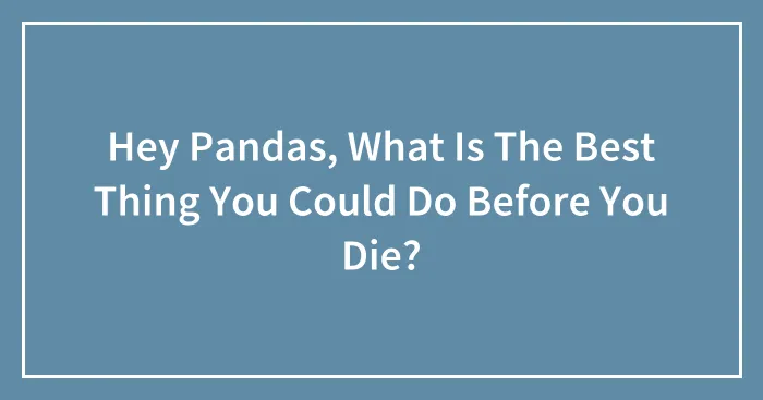 Hey Pandas, What Is The Best Thing You Could Do Before You Die? (Closed)
