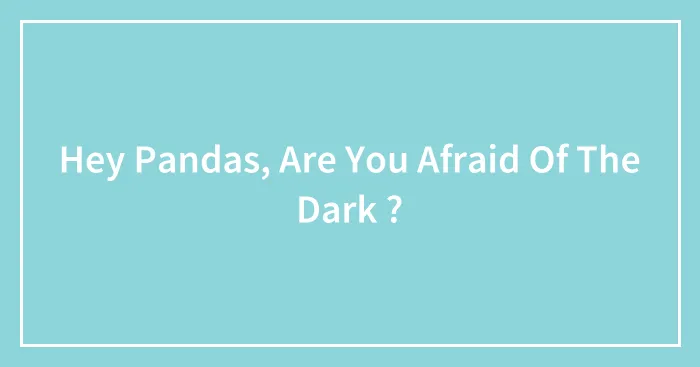 Hey Pandas, Are You Afraid Of The Dark ? (Closed)