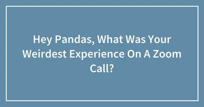 Hey Pandas, What Was Your Weirdest Experience On A Zoom Call? (Closed)