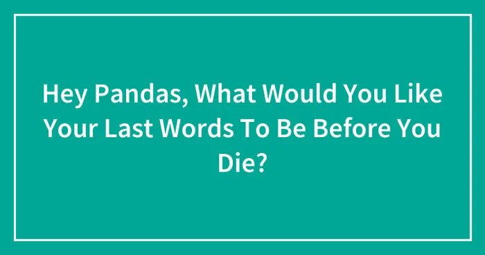 Hey Pandas, What Would You Like Your Last Words To Be Before You Die? (Closed)