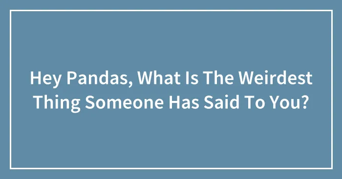 Hey Pandas, What Is The Weirdest Thing Someone Has Said To You? (Closed)
